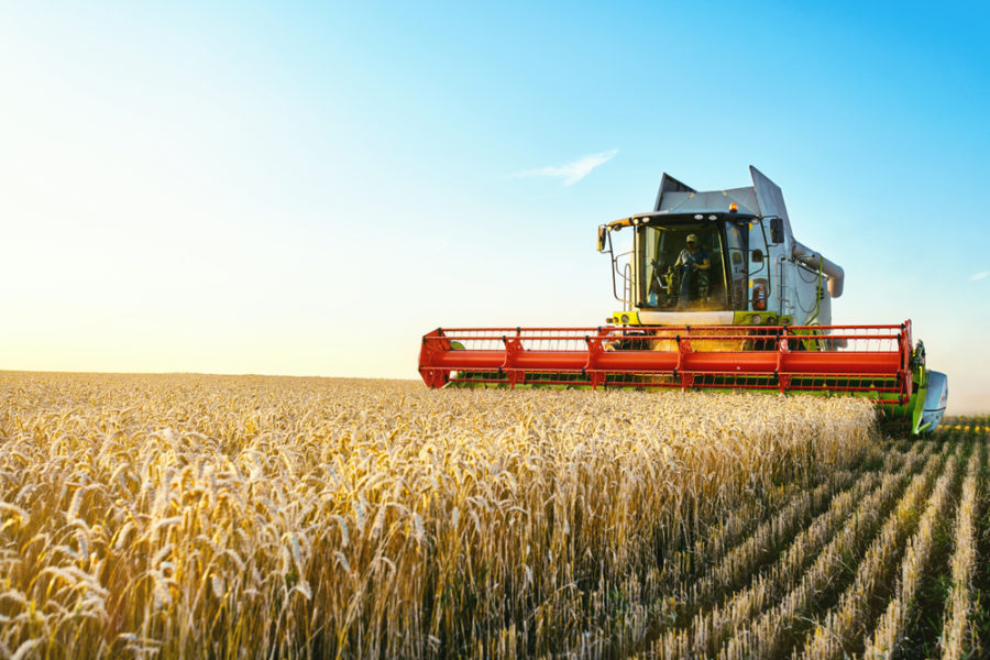 harvester going through wheat