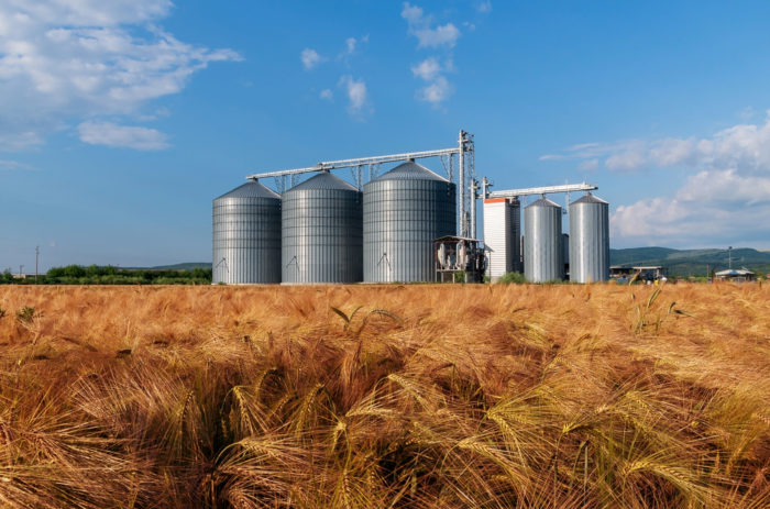 metal silos in a field of wheat