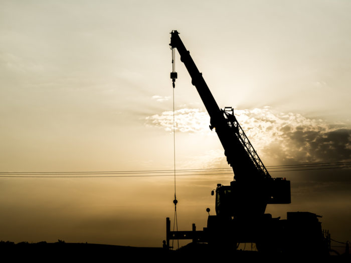 silhouette of a crane